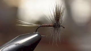 Joe Fox ties a Catskill style Red Quill