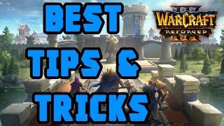 Warcraft3 - 5 Best Tips & Tricks for Beginners