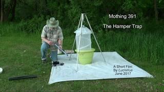 Mothing 391 The Hamper Trap