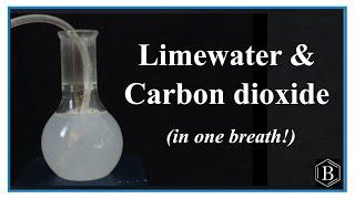 Testing for CO2 Carbon dioxide with Limewater