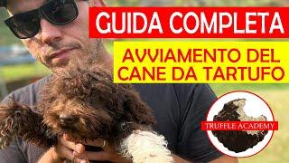 Cane da TARTUFO. Guida COMPLETA allavviamento.