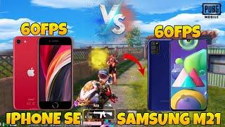 iPhone SE 2020 vs Samsung M21  60 vs 60FPS  PUBG Mobile 1v1 TDM Gameplay#pubgmobile #1v1