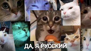 НАВЕРНОЕ ПОЭТ ЯКОРЪ EVEN CUTE & Ernest Merkel - ДА Я РУССКИЙ Клип Cat Version