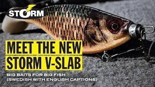 New V-Slab  Storm®