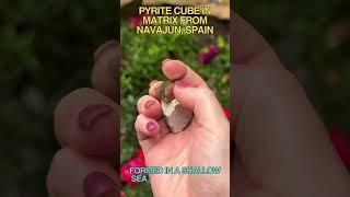 Pyrite cube in matrix from Navajun Spain  4 fun facts below #OwlsNestCrystals