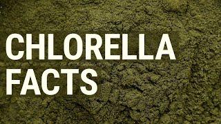 What is Chlorella and Why Should You Take it