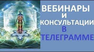 Вебинары и консультации в телеграмме