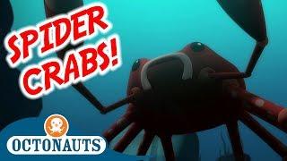 Octonauts - The Spider Crabs  Full Episode  Cartoons for Kids