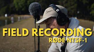 Field Recording With a RODE Microphone  in Thailand