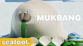 Foodie Seal #Mukbang For YouㅣSEALOOKㅣEpisodes Compilation