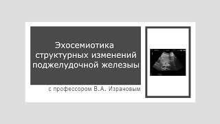 Эхосемиотика структурных изменений поджелудочной железы