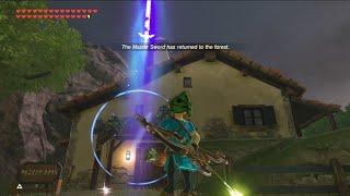 After 7 years of BOTW did you know that the Master Sword CAN DO this?