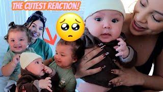 BABYS MEETING FOR THE FIRST TIME THE CUTEST REACTION
