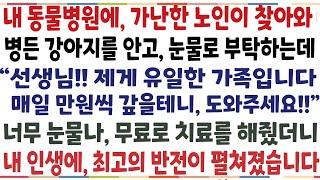 반전신청사연내 동물병원에 70대 노인이 찾아와 눈물흘리며 부탁을 하네요 원장님 돈이 없는데 꼭 갚겠습니다 치료해주세요 무료로 치료해줬더니신청사연사이다썰사연라디오