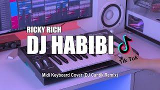 DJ Habibi Tik Tok Remix Terbaru 2022 DJ Cantik Remix