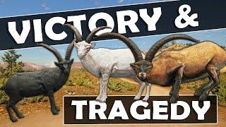 VICTORY & TRAGEDY STRIKE in CUATRO - Call of the Wild