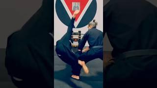 Aikido Relaxed Flow Kino Nagare