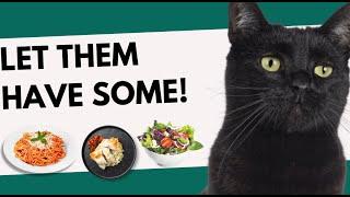 HUMAN FOODS THAT ARE ACTUALLY GOOD FOR CATS  GIVE THESE FOODS TO YOUR CATS #catviralvideos #cats