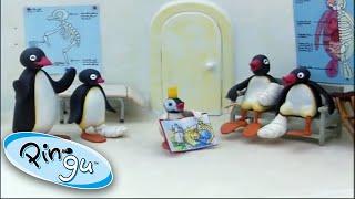 Pingu And His Family Learn About The World @Pingu 1 Hour  Cartoon For Kids