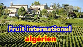 Le fruit algérien devenu mondialement connu et apprécié de tous.