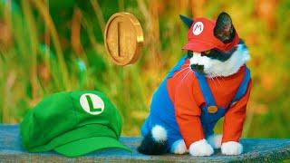 Super Mario CAT Bros