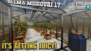 ALMA  #17  FS22  WHEN LIFE GIVES YOU LEMONS  Farming Simulator 22 PS5 Let’s Play.