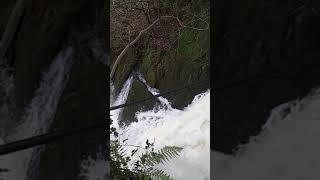 Waterfall at  Furnace Ceredigion Wales