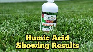 Humic Acid Application Mid Season Backyard Overview Update