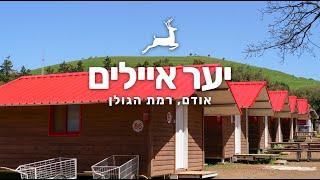 חופשה משפחתית אודם יער איילים רמת הגולן