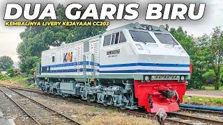 KEMBALINYA LIVERY KEJAYAAN CC203 DUA GARIS BIRU Uji Beban CC203 02 03 Lempuyangan - Purwosari PP