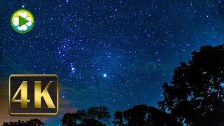 Starlit Symphony Healing Music Accompanied by 4K Night Sky Video