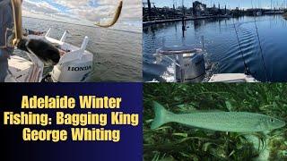 Winter Fishing Adventure Catching King George Whiting in Adelaide