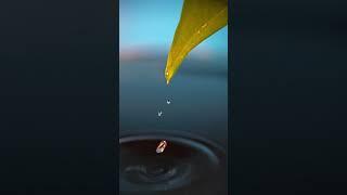 How to shoot a droplet in macro mode.  #apexel #macro #photography  #tutorial #photographytips