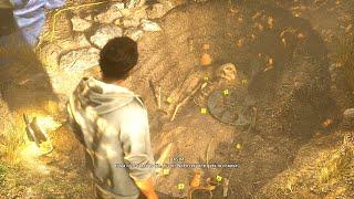 Basim Visits Eivors Grave Assassins Creed Valhalla Ending