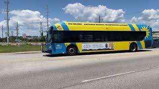Buses in Myrtle Beach South Carolina 2023