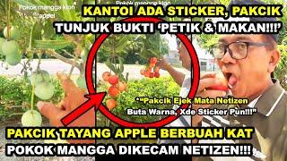 PAKCIK TAYANG EPAL BERBUAH KAT POKOK MANGGA DIKECAM NETIZEN ADA STICKER  PAKCIK BUKTI PETIK & MKN