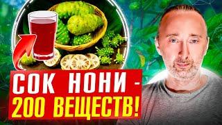 Полезные СОКИ НОНИ янтарная кислота медь сера камедь