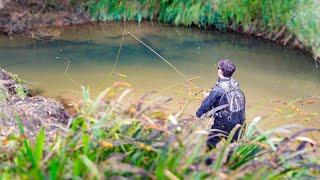 Fly Fishing a Small Stream for Big Trout My biggest brown of the season