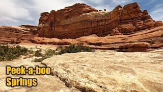 Squaw Flat to Peekaboo Springs in Canyonlands National Park