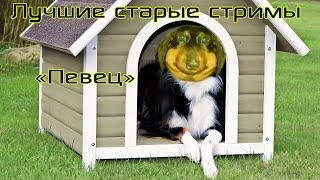 Лучшие стримы Давга #1 Певец