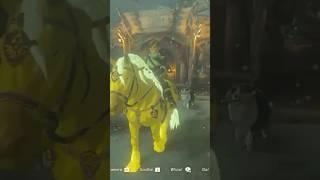 Zelda’s Golden Horse Map Location - #totk #zelda #shorts