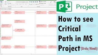 How to see Critical Path in MS Project  critical path not showing UrduHindi