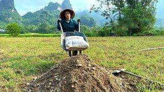 Overcoming difficulties  Orphaned Girl Tries to Build Her Own Home Amid Harsh Weather