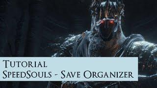 Tutoial SpeedSouls - Save Organizer