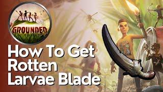 How to Get The Rotten Larva Blade in Grounded