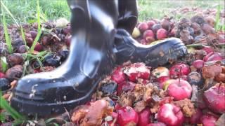 Crushing apples with my Turvaset-safety boots