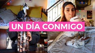 VLOG RENOVAMOS LA DECORACIÓN Y JUANITO EXPONE SUS DOTES COMO REPOSTERO