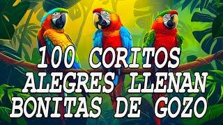 Coros Viejitos Pero Bonitos - Coros Pentecostales - Mas De 100 Coros Avivamiento Pentecostal