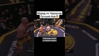 Мурад против Черкасова бой. Зарубились. #mma #мурад #черкасов #дом2