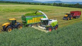 Priamy zber 2024 - CLAAS Jaguar 990 + 3x JCB Fastrac 8330 CLAAS Xerion 4500